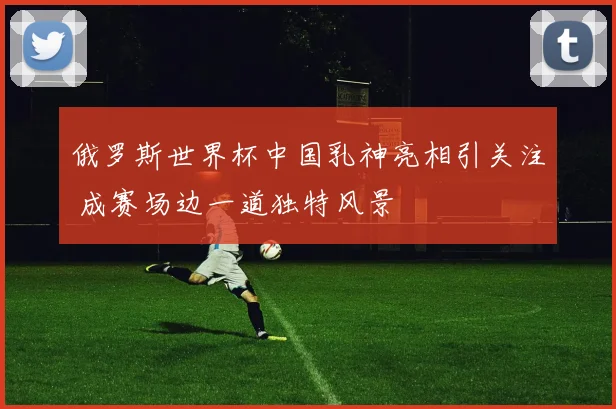 俄罗斯世界杯中国乳神亮相引关注 成赛场边一道独特风景