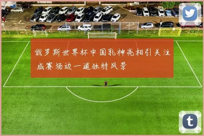 俄罗斯世界杯中国乳神亮相引关注 成赛场边一道独特风景