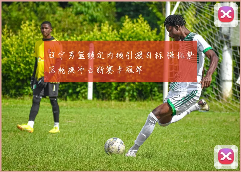 辽宁男篮锁定内线引援目标 强化禁区轮换冲击新赛季冠军