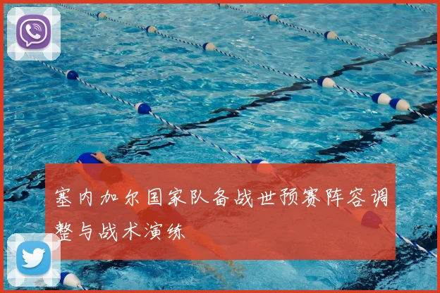 塞内加尔国家队备战世预赛阵容调整与战术演练