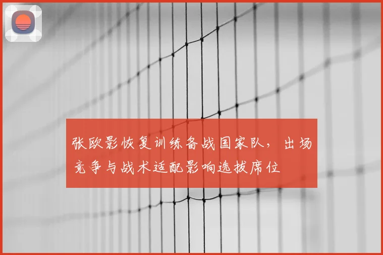 张欧影恢复训练备战国家队,出场竞争与战术适配影响选拔席位
