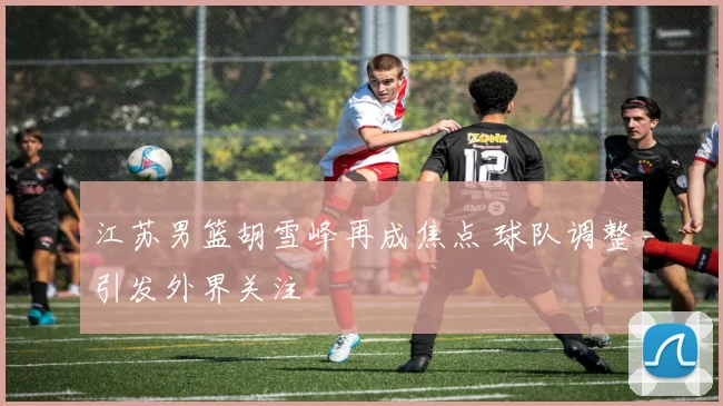 江苏男篮胡雪峰再成焦点 球队调整引发外界关注